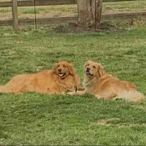 Meet your Posher, Fran